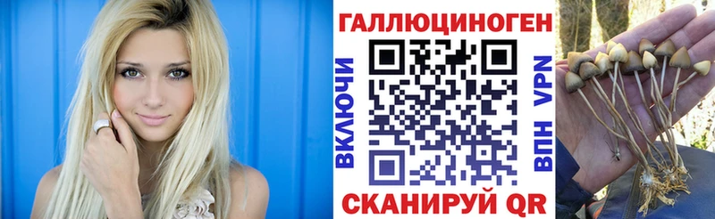 Псилоцибиновые грибы Cubensis  Купить где  Пионерский 