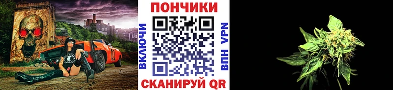 Бошки марихуана Amnesia Пионерский